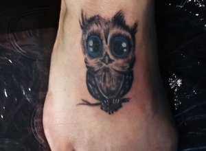 Owl