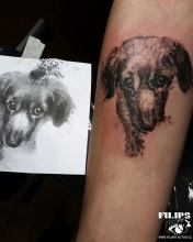 vh_jezevcik_ps_raz_inst