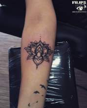 Lotus