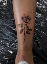 rose