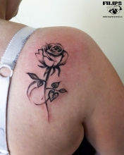 Rose