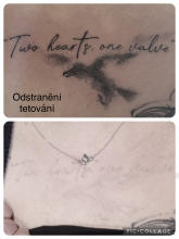 F6766448-54EE-43AC-B83D-FFA1E1E114FA