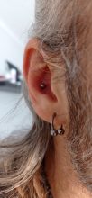 Inner conch