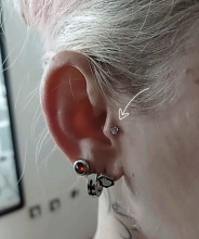 Tragus