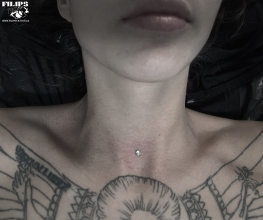 mikrodermal se zirkony