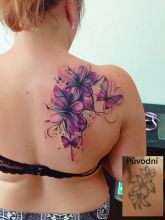 FB_IMG_1772724152543