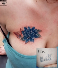 prekrývacka textu