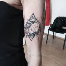 FB_IMG_1770726833712