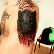 FB_IMG_1771946345983