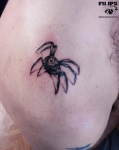 Spider
