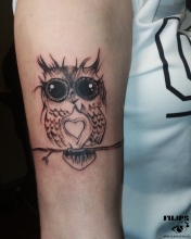 Owl