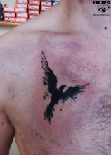 Phoenix