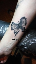 Buterflly