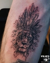 Lion