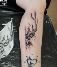 deer
