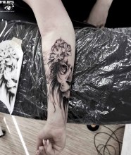 lion