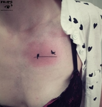 birds